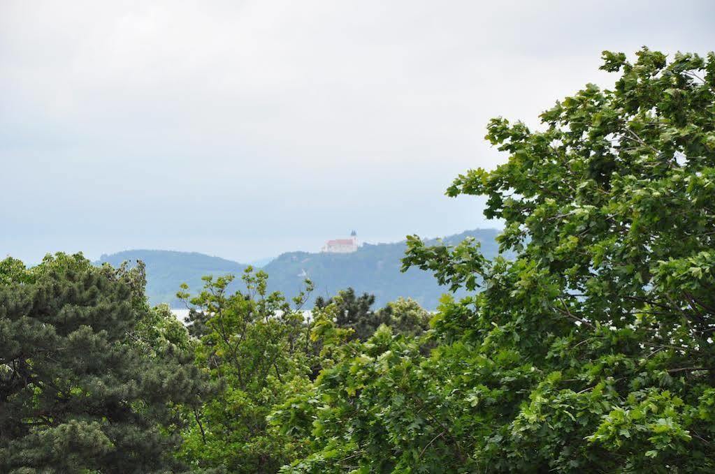 Villa Muzsa Deluxe Balatonfüred Exteriér fotografie